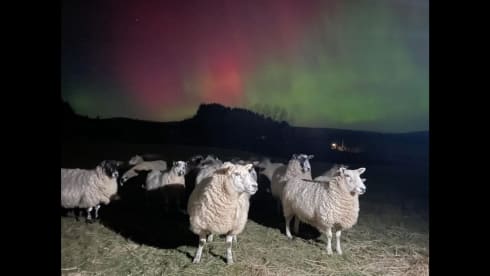 Northern Lights – Highlands Luxury Motorhome