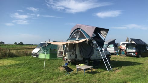 Unique camping cruiser 4x4 with roof tent