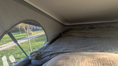 4p Benimar bus uit 2025