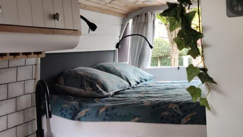 2p Renault campervan from 2019