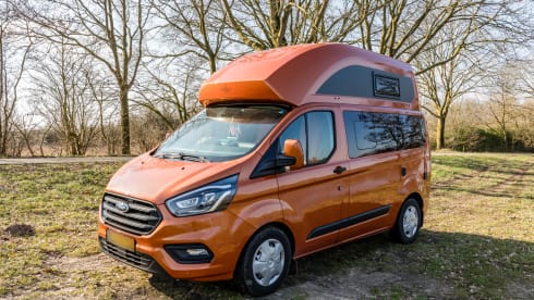 klein maar dapper  – 2 Ford bus nugget from 2019