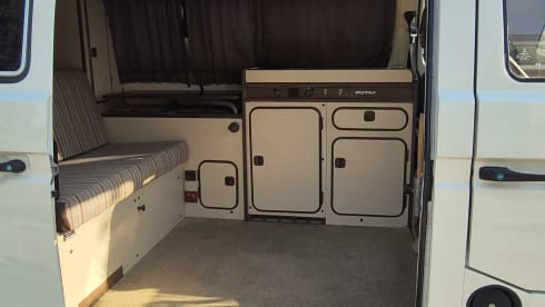 DANDY β VW T3 MITO SENZA TEMPO