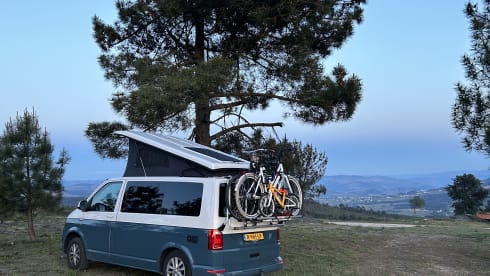 Vanny Blue – Luxurious & attractive VW camper Woodpecker - 4p