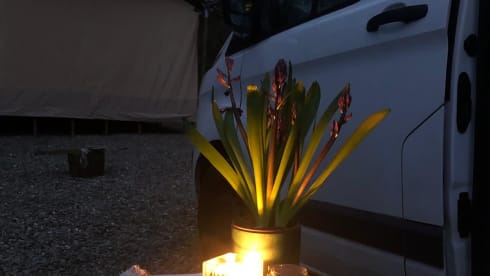 Inverness Ellie – 2 berth Ford campervan MWB and medium height