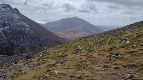 BETTY – ELDDIS VOGUE 155