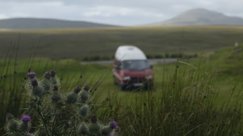 "Thermos" – VW T4 del 2002 con 2 posti letto - a 3 miglia dall'aeroporto di Inverness - *assicurazione inclusa*