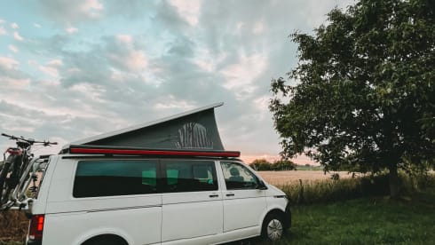 Bärbelche – VW T6.1 – Der Wohlfühl-Camper mit viel Platz und Solar!