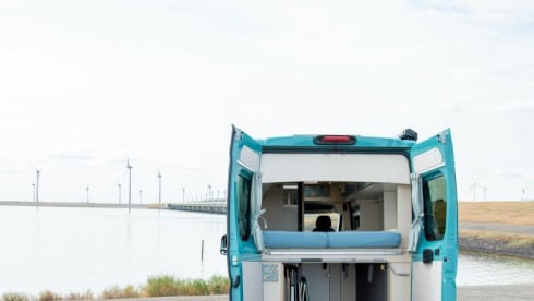 Bloesem – 4p Fiat bus uit 2022