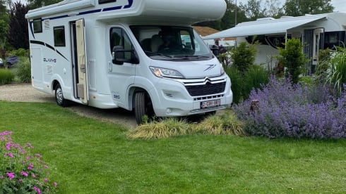 Glamys – 8p McLouis alcove uit 2022
