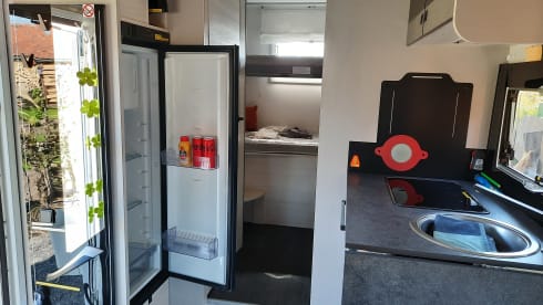 'Kath' – 4p Chausson semi-integrated from 2023