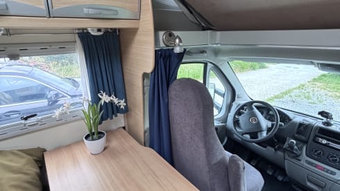 5-sitziger Fiat Alcove aus dem Jahr 2008