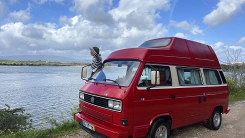 Vermelho  – Rent a Campervan Blue CLassics ‘s Volkswagen T3  red