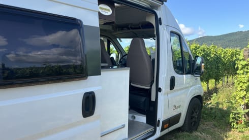 Well equipped Karmann Davis 620 bus from 2022 - dogs welcome