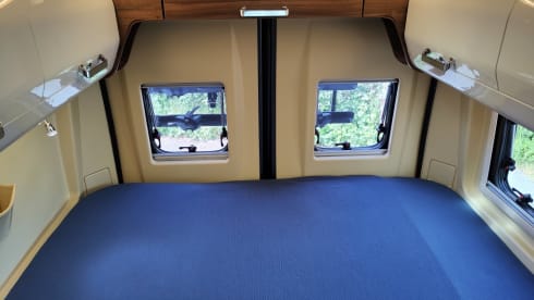 Living Stone 2 – LAIKA Ecovip 300