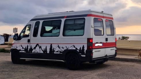 Boxer – True Boxer