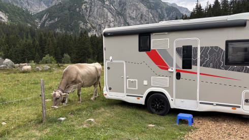 Chausson Special Edition