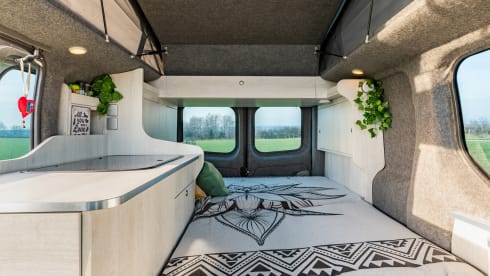 Roza – 4p Renault Camperbus from 2011 - suitable for almost any adventure!