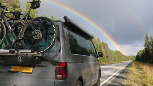 Discover freedom with this young Volkswagen California Coast
