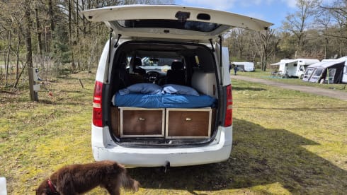 Gezellige en Functionele Hyundai Buscamper Euro 5