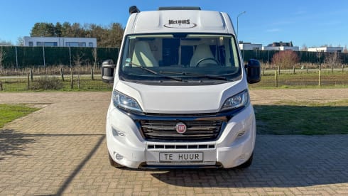 Witte Vlegel – Mclouis Menfys Matic 