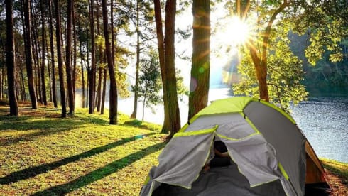 Caravelle – Volkswagen Van Sharing T5 Caravelle - 9 travel seats / 4 berths