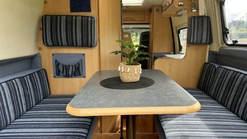 Zwervertje – 2p Adria Mobil bus from 2005