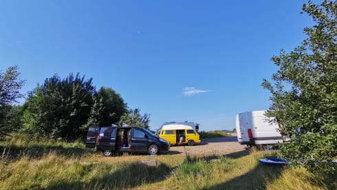 Sunny – 2p Volkswagen campervan from 1981