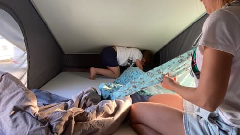 Dreamer – Dreamer D55 UP: pop-up roof, 4 beds, private bathroom and shower!