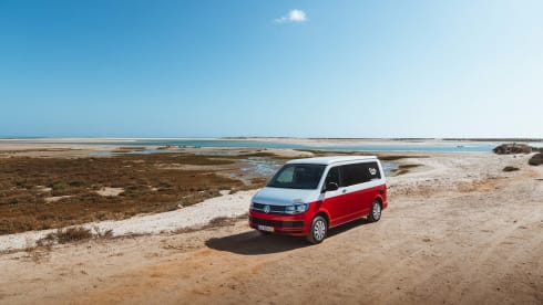 VW T6 Beach - Amsterdam