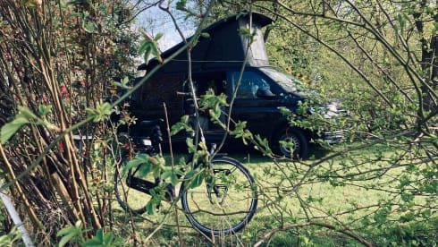 Campie – Combi Volkswagen 2 places de 2018