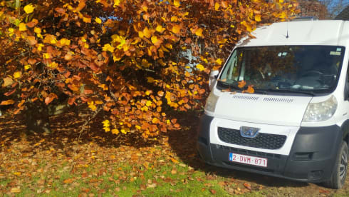 the Lady – Peugeot Boxer voor 3- met ruim bed en veel opbergruimtes.
