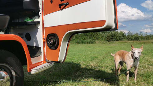Maxima – A moment back in time with a Volkswagen T2 - Completely restored!