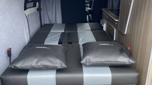 Predator   – 2 berth Ford campervan from 2019