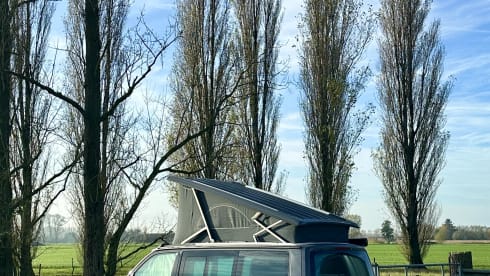 Ben's Ocean – 4pers Volkswagen California Ocean