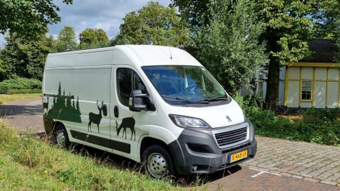 2p Peugeot bus from 2018