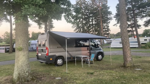 ' A quarter dollar ' – Campervan Fiat Ducato