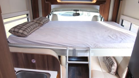 T-Line 590 – T-Line 590