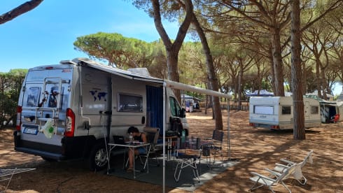 TheTripTherapy – If you can dream it you can do it.