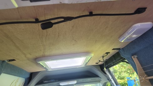 2p Fiat bus from 1996