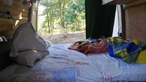 Lakshmi – Rêve d'infiltration Renault Master couvreur