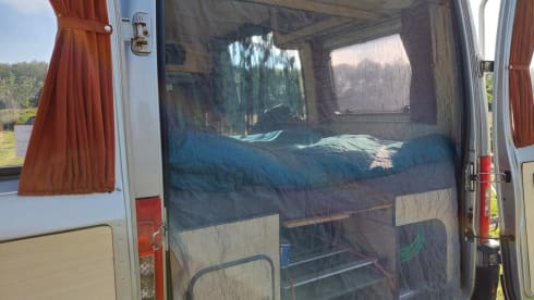 2p attractive, spacious, light Fiat bus camper