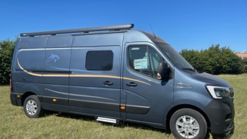 WAVE RIDER – DOLPHIN C 621