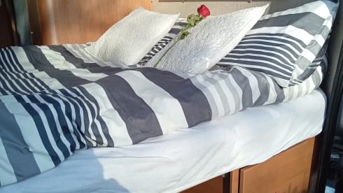 Roma Accent – 3 berth Peugeot Autocruise Accent