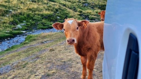 2-seater Nissan campervan from 2017