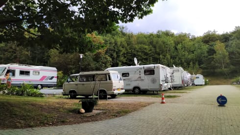 Olle – Tough T3 with powerful diesel engine