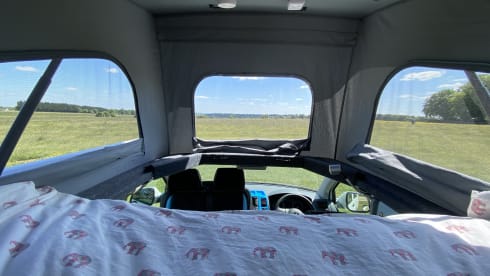 Bailey  – Luxury VW Campervan Hire