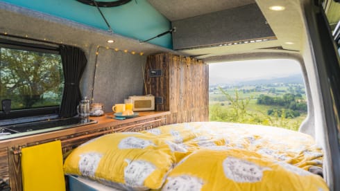 Ringo – VW Transporter -  Poptop Campervan