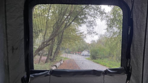 Ollie – 2p Renault bus from 2015