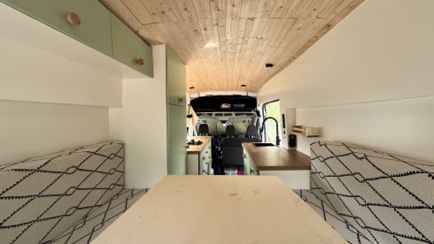 Poppy – Ford Campervan (2019) 2p + huisdier