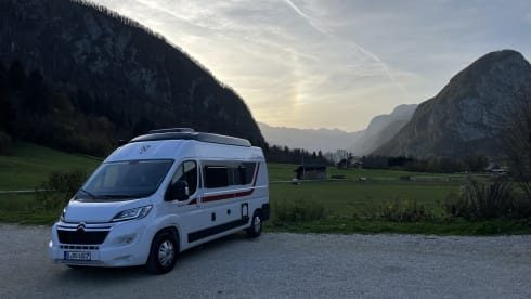 Bronko – Rimor Horus 138